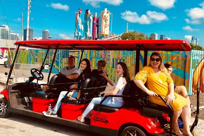 1 Hour WYNWOOD BUGGIES tour - Electric buggies in a big neighborhood: more art, less walking