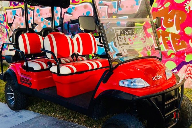 1 Hour WYNWOOD BUGGIES tour - Price and value: what $45 buys you in 1 hour