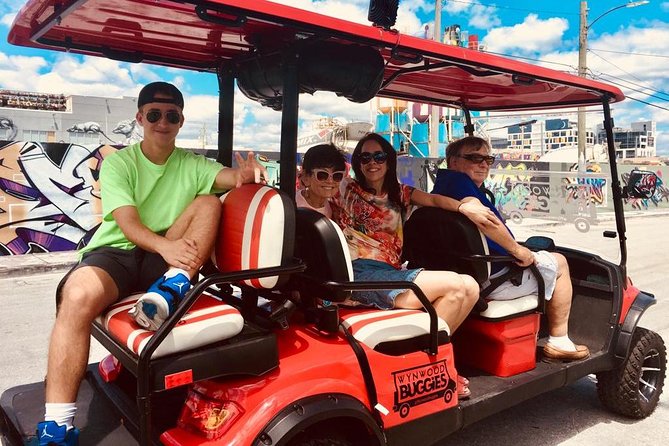 1 Hour WYNWOOD BUGGIES tour - Weather, photos, and what to pack so it’s painless