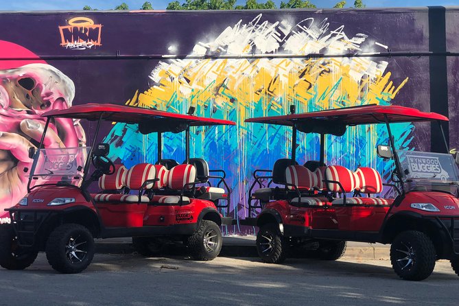 1 Hour WYNWOOD BUGGIES tour - Who should book Wynwood Buggies (and who might skip it)
