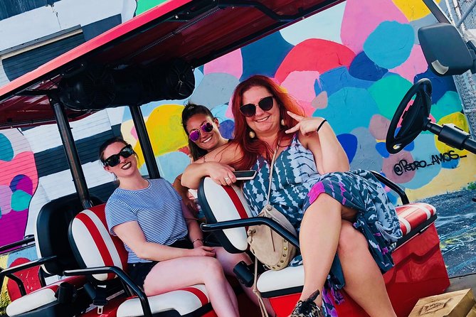 1 Hour WYNWOOD BUGGIES tour - The artist-guide touch: why the tour feels different