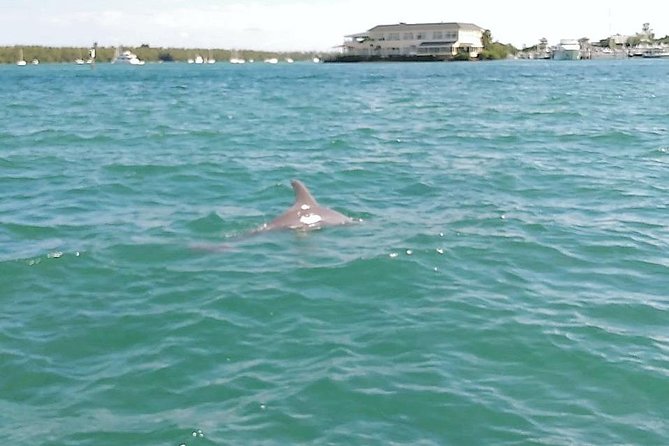 26 Ft Boat, Miami Bay Tour for 2 or 4 hours. 10 people - Photo Stops and How to Maximize Your Views