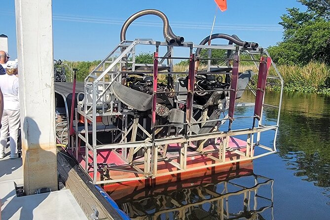 60 min. Everglades Airboat ride & pick-up ,small group +pro guide - Stop 2: Everglades National Park and the alligator recovery story