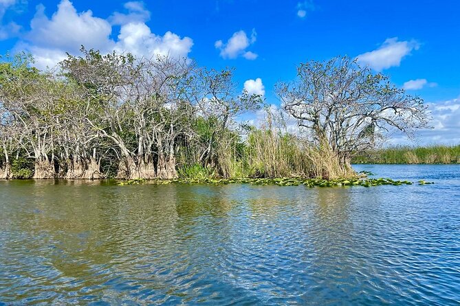 60 min. Everglades Airboat ride & pick-up ,small group +pro guide - Timing reality: 4 to 5 hours, shared group, and possible waits
