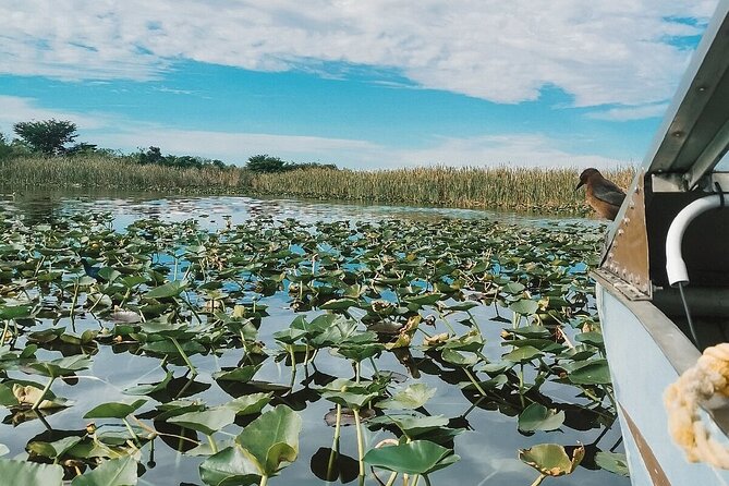 60 min. Everglades Airboat ride & pick-up ,small group +pro guide - What to pack and how to survive airboat conditions