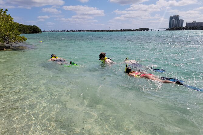 Beginner Friendly Island Snorkeling - Key Things I’d Bookmark Before You Go