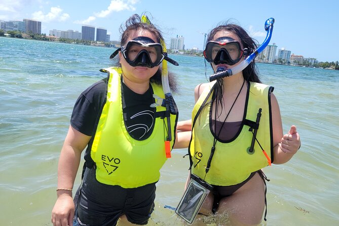 Beginner Friendly Island Snorkeling - From 10800 Collins Ave to Biscayne Bay: The Easy-Going Start