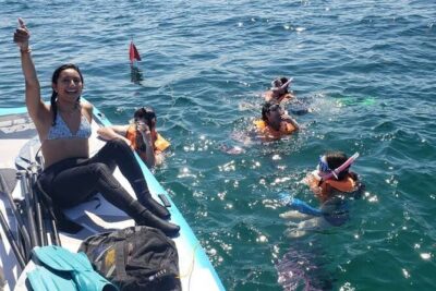 Beginner Friendly Island Snorkeling - Mangroves, Wildlife Lessons, and Why Paddling Comes First