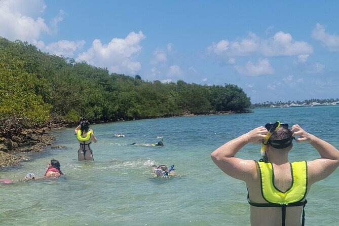 Beginner Friendly Island Snorkeling - So Flo Water Adventures: Should You Book This Beginner Island Snorkeling Tour?