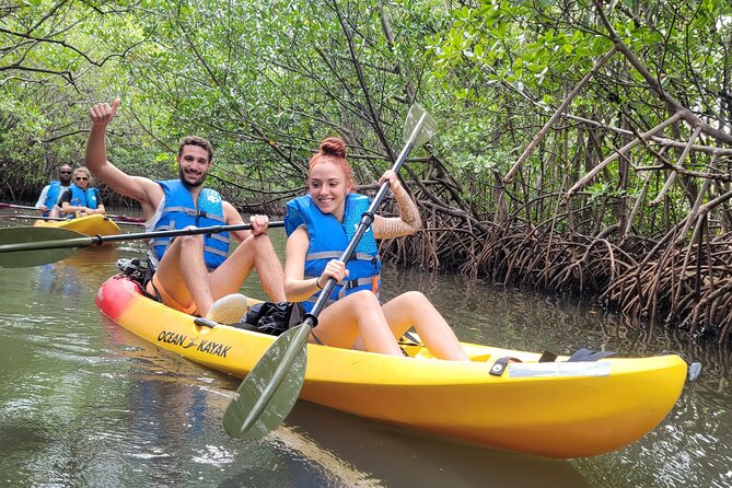 Biscayne Bay Island and Nature Exploration - Why Biscayne Bay feels wilder than the Miami skyline