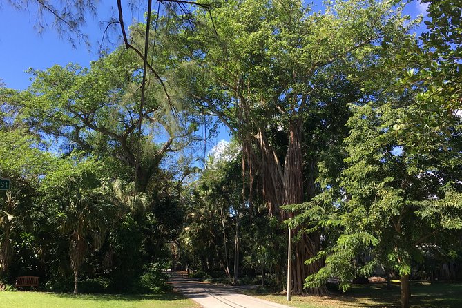 City Tour Miami PLUS and Boat Tour - Little Havana on Calle 8: Cuban coffee, time to eat, and browsing freedom