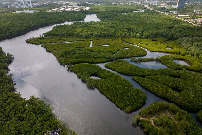 Clear Kayak Tour in North Miami Beach - Mangrove Tunnels - Tandem Kayaks for Couples (and Why Sharing the Paddling Changes the Mood)