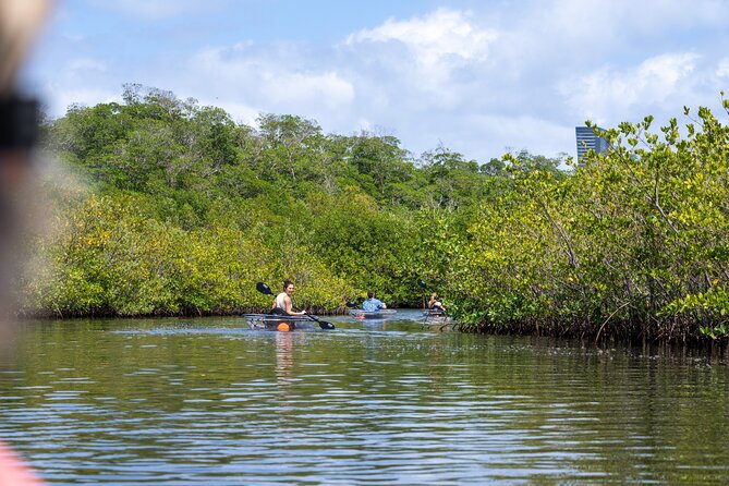 Clear Kayak Tour in North Miami Beach - Mangrove Tunnels - Weather, Fitness, and Safety Notes You Should Not Skip