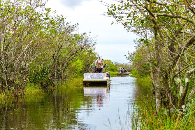 Everglades Airboat Safari Adventure with Transportation - Practical tips so your day goes smoother