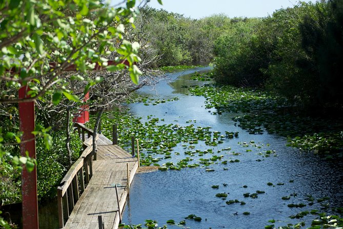 Everglades Airboat, Wildlife Show, and Roundtrip Bus From Miami - Who This Tour Fits Best (and Who Should Rethink It)