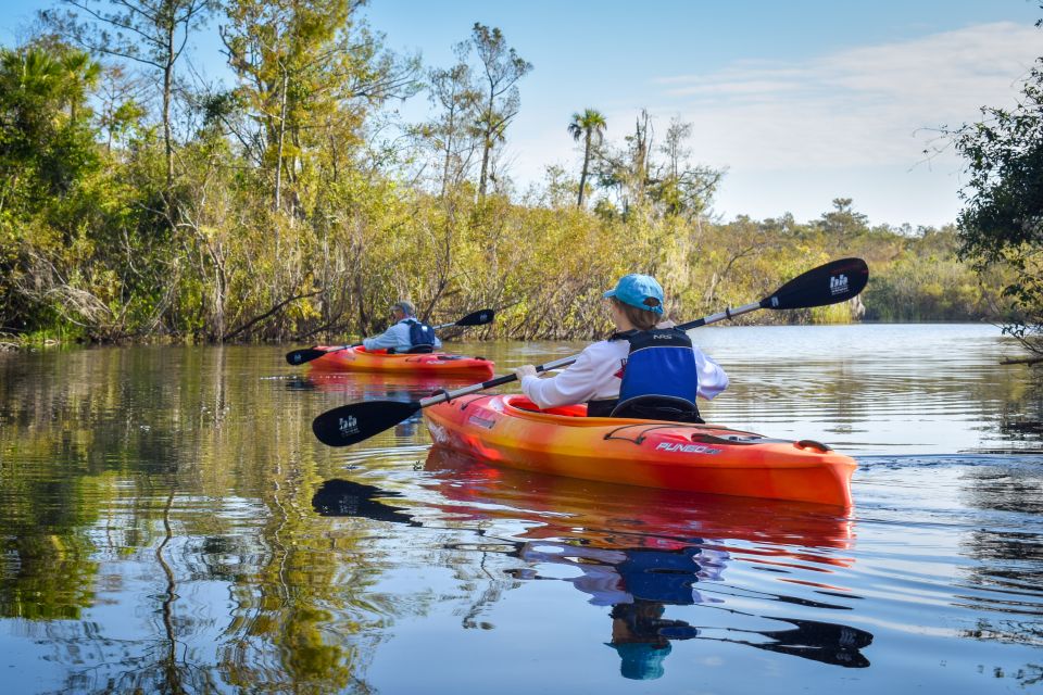 Everglades City: Guided Kayaking Tour of the Wetlands - Key things to notice before you go