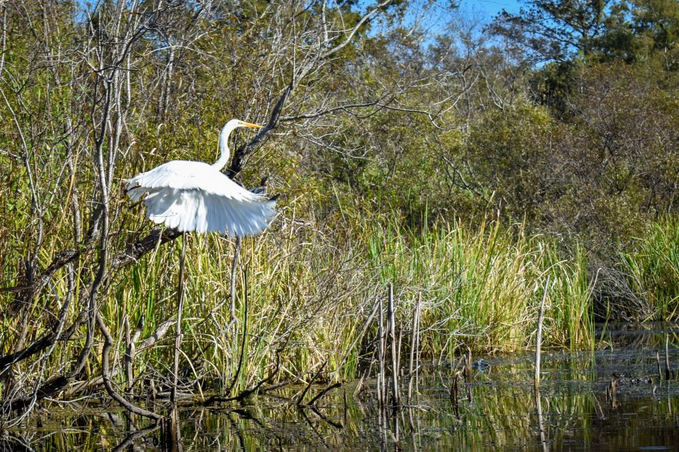 Everglades City: Guided Kayaking Tour of the Wetlands - Kayak gear and instruction: how the tour sets you up for success
