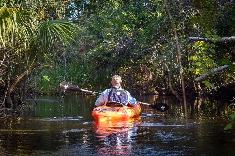 Everglades City: Guided Kayaking Tour of the Wetlands - Timing, duration, and what 3–4 hours feels like on the water