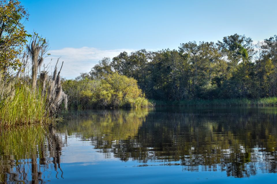 Everglades City: Guided Kayaking Tour of the Wetlands - Price and value: is $102 worth it?