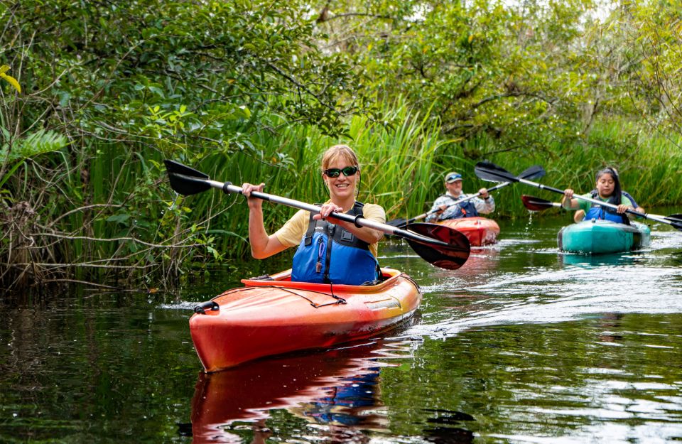 Everglades City: Guided Kayaking Tour of the Wetlands - Who this tour suits best (and who should skip it)
