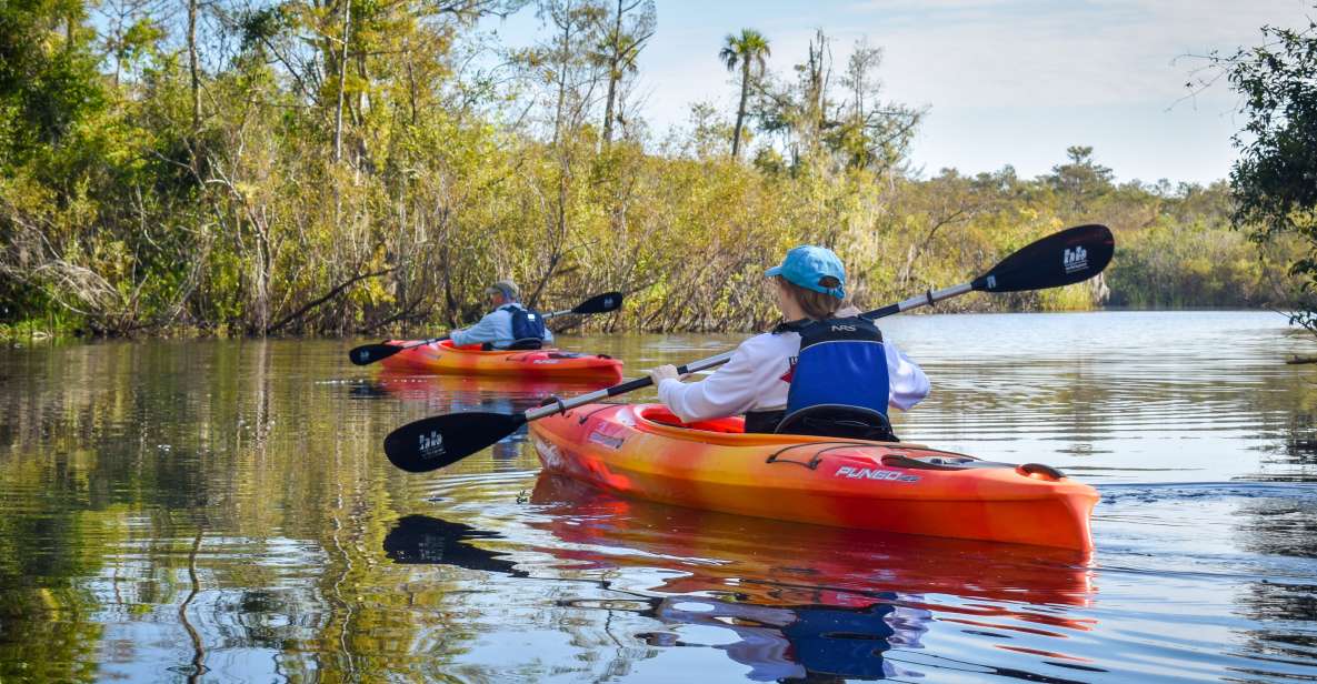 Everglades City: Guided Kayaking Tour of the Wetlands - Meeting at Ivey House, then getting to the launch without stress