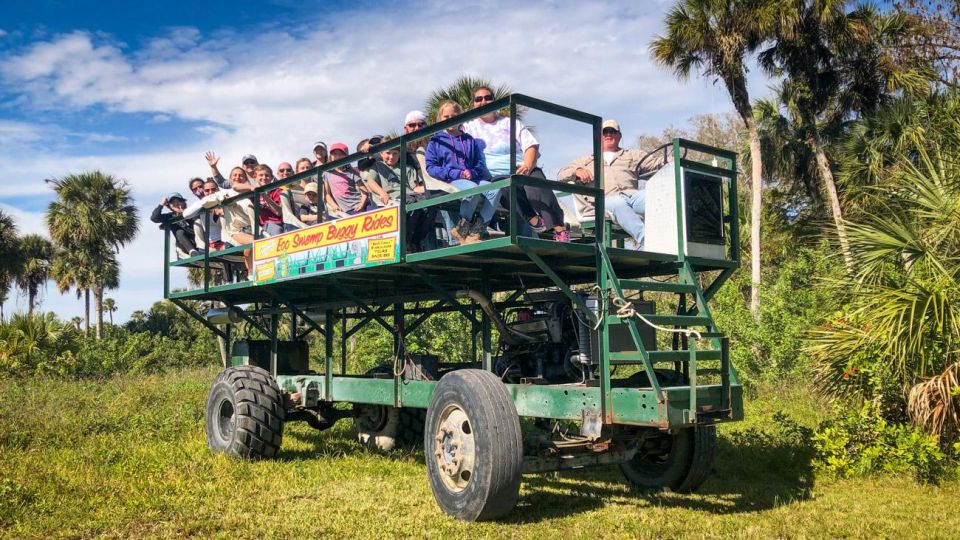 Everglades: Mangrove Maze Airboat Tour and Boardwalk - Why Your Guide Changes the Whole Experience: Plants, History, and the “Look Here” Style
