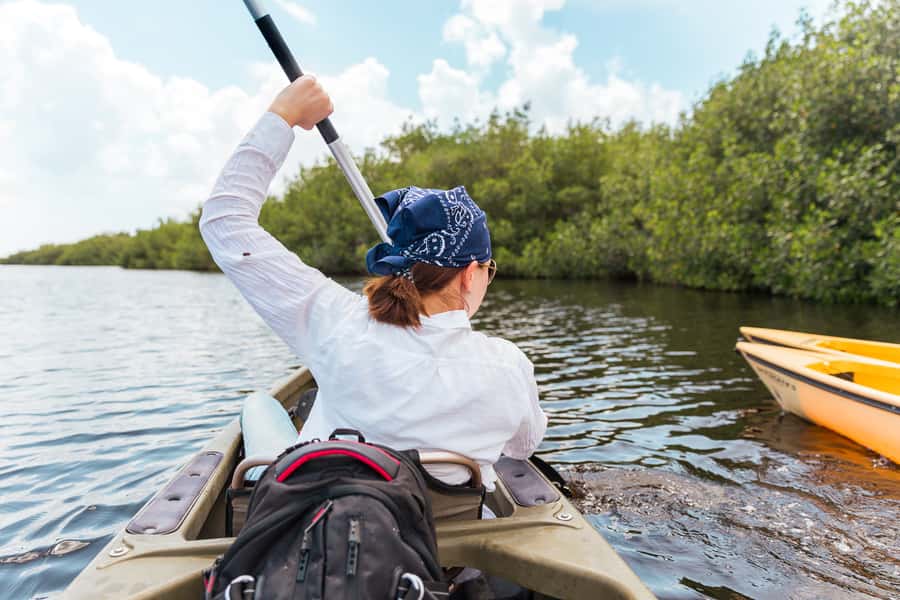 Everglades National Park: Mangrove Tunnel Kayak Eco-Tour - Key Highlights at a Glance