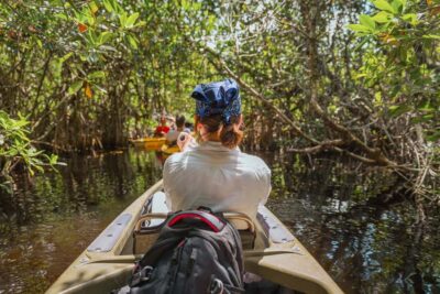 Everglades National Park: Mangrove Tunnel Kayak Eco-Tour - Meeting at 32016 Tamiami Trail E and Finding the Kayak Trailer