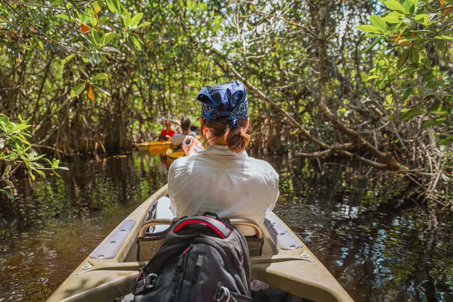 Everglades National Park: Mangrove Tunnel Kayak Eco-Tour - Meeting at 32016 Tamiami Trail E and Finding the Kayak Trailer