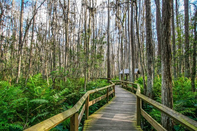 Everglades National Park: Self Guided Driving Audio Tour - Price and the park-pass reality