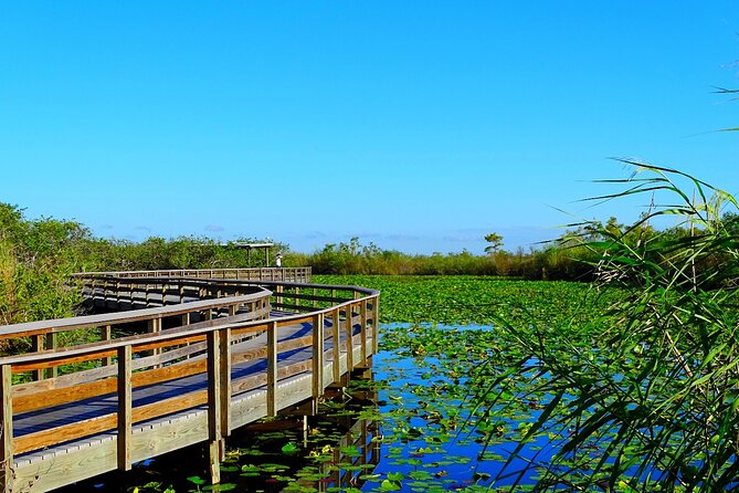 Everglades National Park: Self Guided Driving Audio Tour - Best fit: who this self-guided driving audio works for