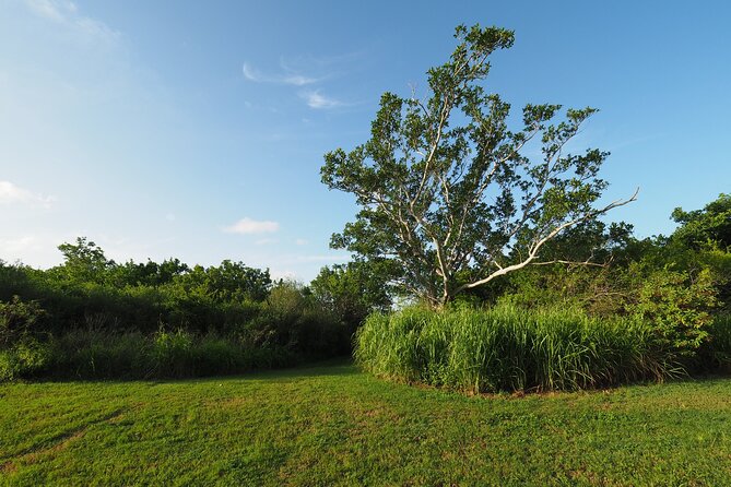 Everglades National Park: Self Guided Driving Audio Tour - Should you book this Everglades driving audio tour?