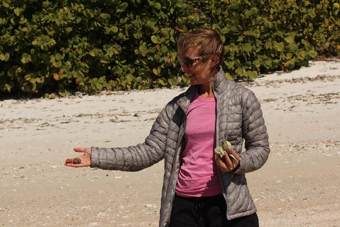 Everglades Small Group Guided Boating & Walking Tour Expedition - How the guide makes it more than spotting: people, not just animals