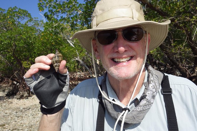 Everglades Small Group Guided Boating & Walking Tour Expedition - Timing: choosing morning vs afternoon without overthinking it