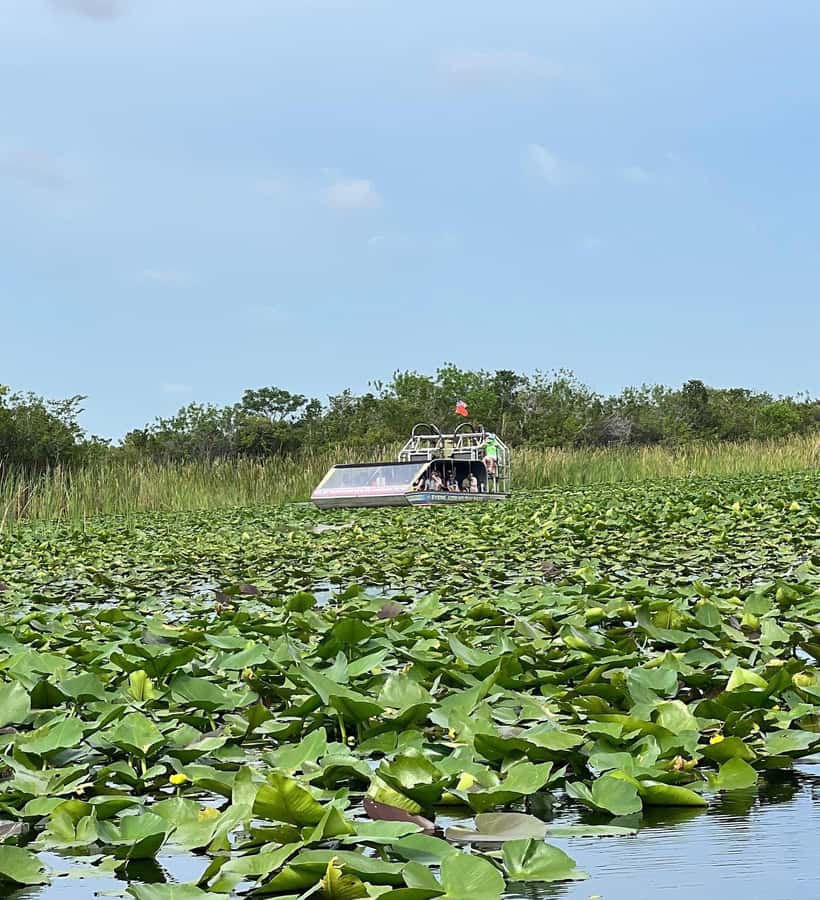 Everglades Small Group on Airboat with Transportation - Price and Value: Is $72 a Good Deal?