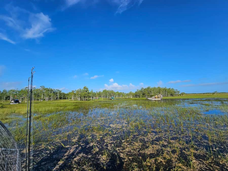 Everglades Small Group on Airboat with Transportation - Should You Book This Everglades Small Group Airboat With Transportation?