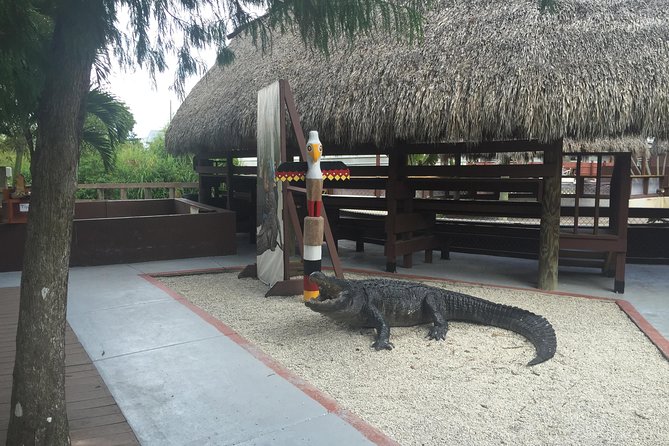 Everglades Small-Group Tour from Miami with Transportation - The airboat ride runs long enough to matter (50–60 minutes)