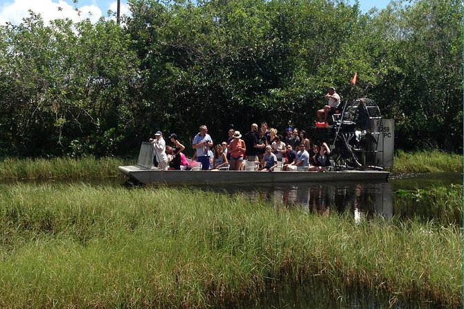 Everglades Small-Group Tour from Miami with Transportation - What you’ll learn with the rescued-alligator presentation