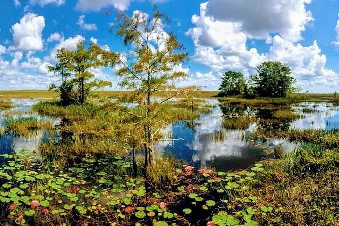 Everglades Tour w/ Biologist Led WET walk + 2 Boat Trips + Lunch! - From Miami narration to Miccosukee: getting oriented before you go wildlife-hunting