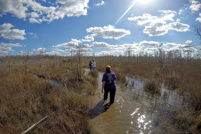 Everglades Tour w/ Biologist Led WET walk + 2 Boat Trips + Lunch! - Ochopee Post Office and Smallwood Store: the history breaks that make the day feel real
