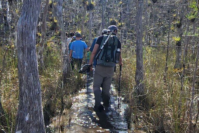 Everglades Tour w/ Biologist Led WET walk + 2 Boat Trips + Lunch! - Big Cypress swamp walk: what the WET walk really means for your boots