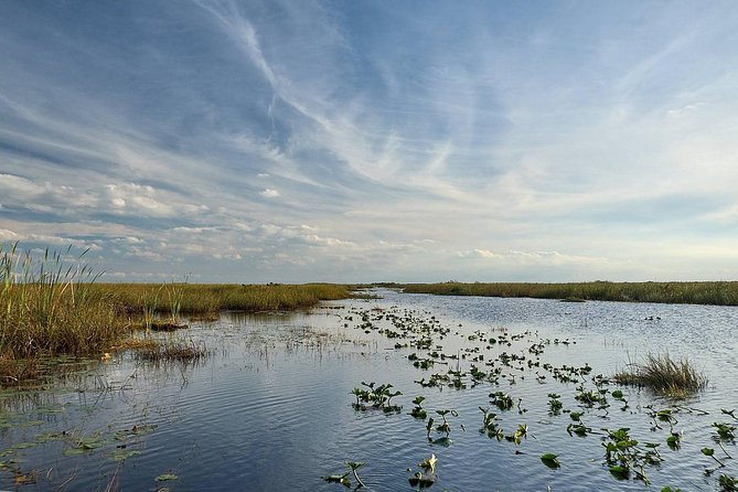 Everglades Tour w/ Biologist Led WET walk + 2 Boat Trips + Lunch! - Everglades City lunch and Chokoloskee 10,000 Islands boat trip