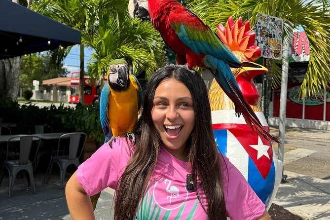 Flamingo Bus Miami Tours | Miami's Only Open-Air Trolley! - Open-air trolley views: why this style fits Miami