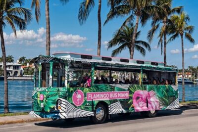 Flamingo Bus Miami Tours | Miami's Only Open-Air Trolley! - Route basics: 2 hours, max group size 37, and a clear start point