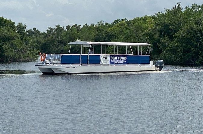 Flamingo Everglades Boat Tours - Boat Comfort and Pacing: Easy Views Without the Sweat