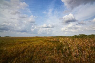 Flamingo Everglades Boat Tours - Route in Plain English: Buttonwood Canal to Whitewater Bay