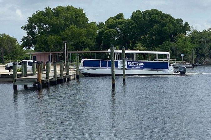Flamingo Everglades Boat Tours - Money Talk: Is $51.60 Worth It Here?