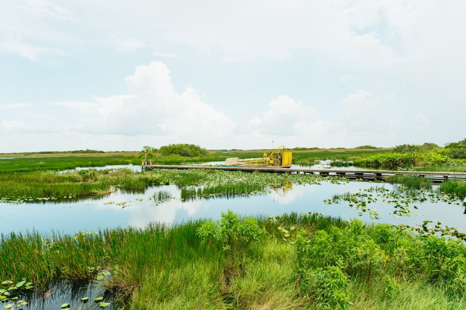 From Miami: Everglades Airboat Ride and Nature Walk - Key things you’ll notice on this tour