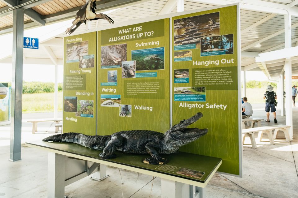 From Miami: Everglades Airboat Ride and Nature Walk - Who should book this airboat and nature walk?
