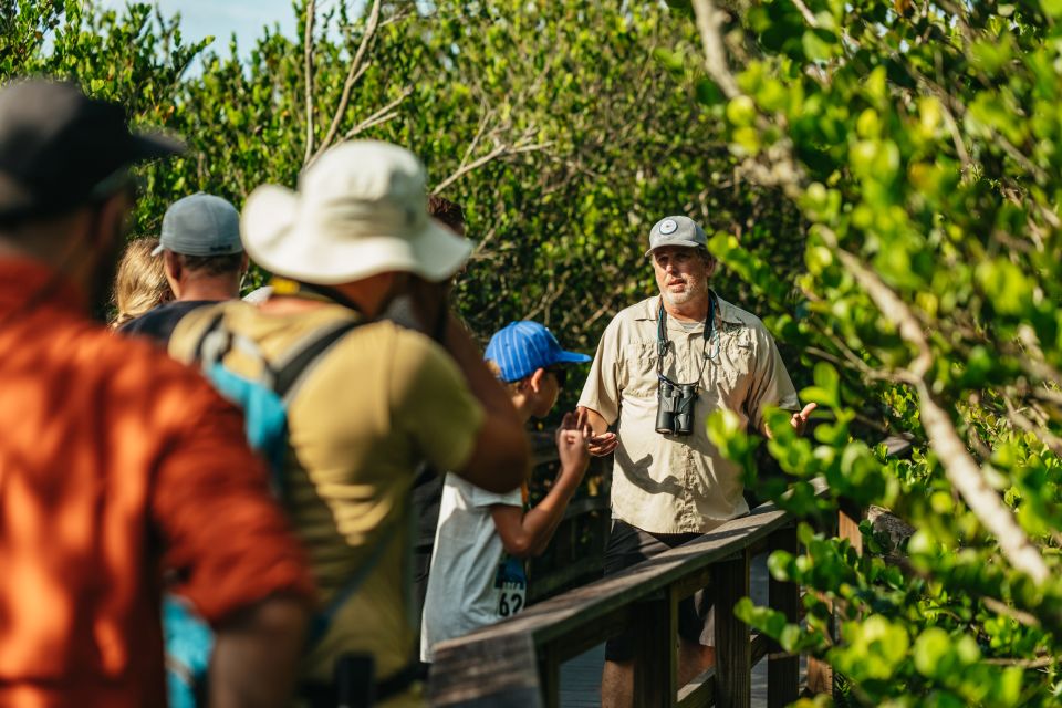 From Miami: Everglades Airboat Ride and Nature Walk - Everglades nature walk through hammock trails and rare plants